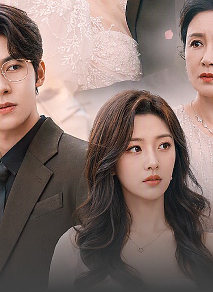 The Revenge Wedding poster